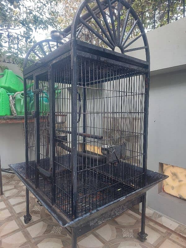 Steel Parrot Cage in Pristine condition for sale 4