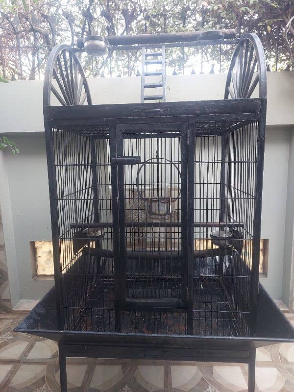 Steel Parrot Cage in Pristine condition for sale 5