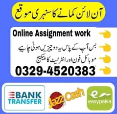 Data Entry Job /  Part Time Full Time Job / Typing job /Assignment Job