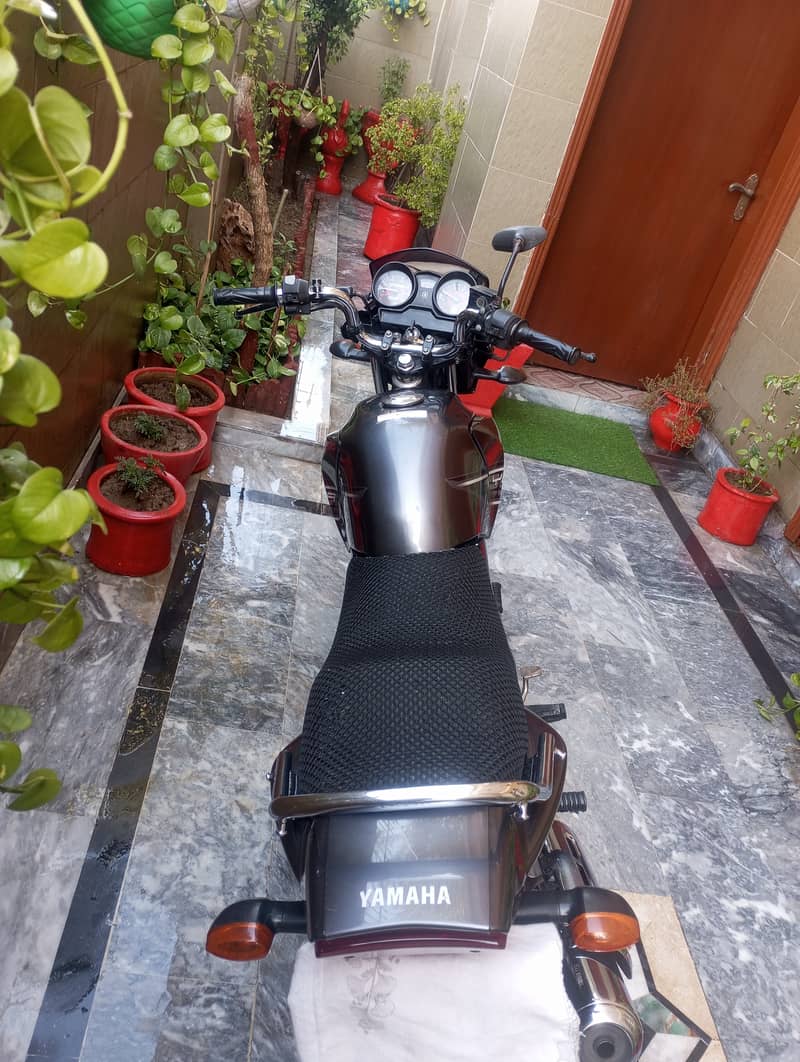 Yamaha YBR 125 (2016) japanese 4