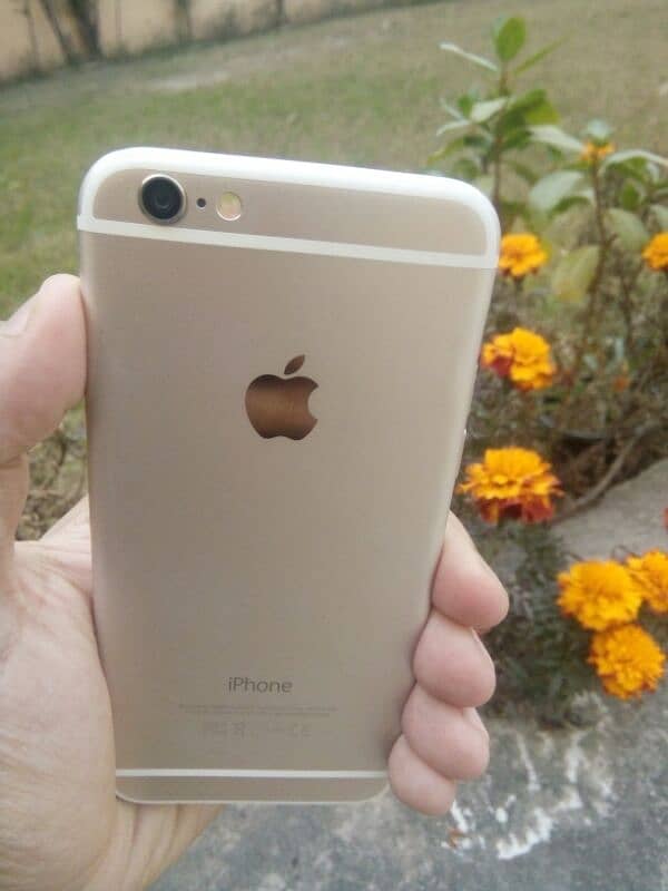 Iphone 6 64gb Gold 8