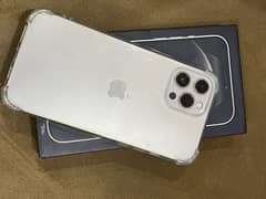 Iphone 12 Pro Max (Dual Pta)