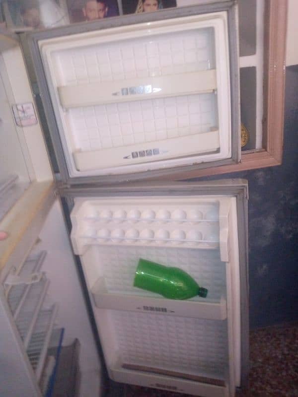 fridge 2