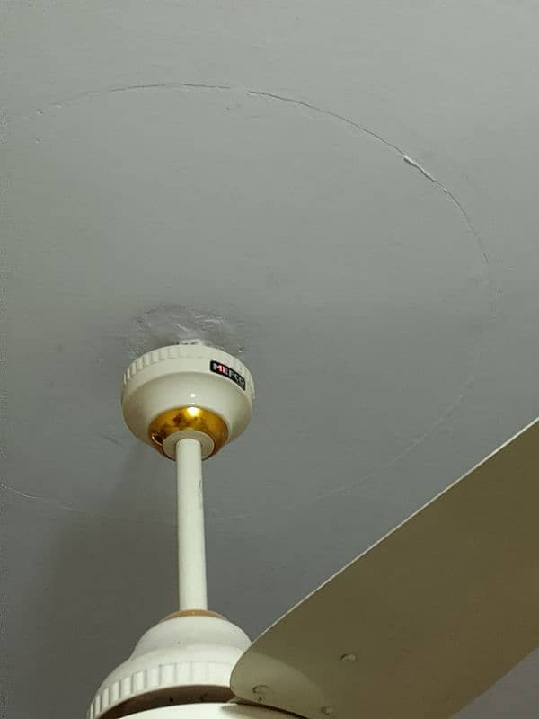 AC DC Ceiling Fan 0