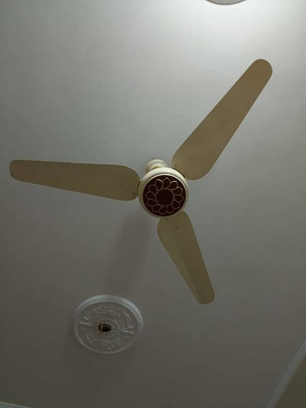 AC DC Ceiling Fan 2