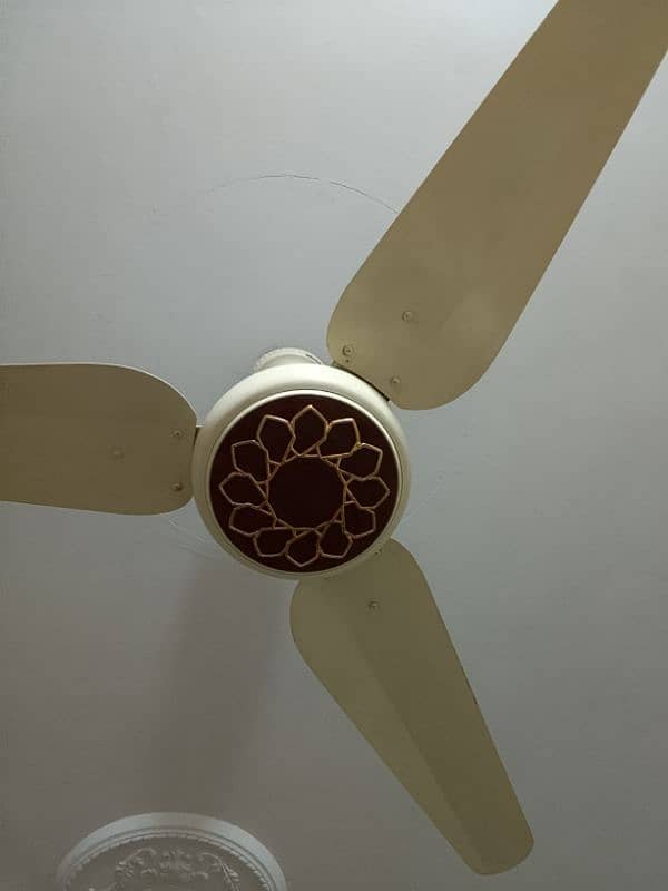 AC DC Ceiling Fan 3