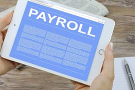 Payroll System website, ERP application, CMS development