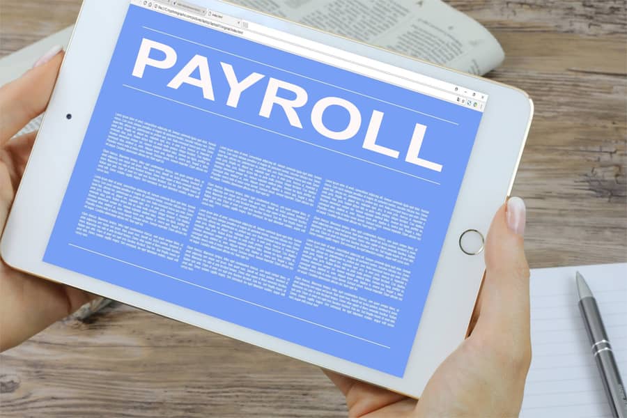 Payroll System website, ERP application, CMS development 0