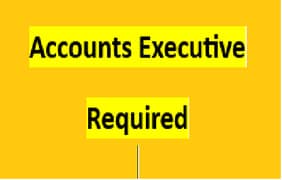 Accounts Executive