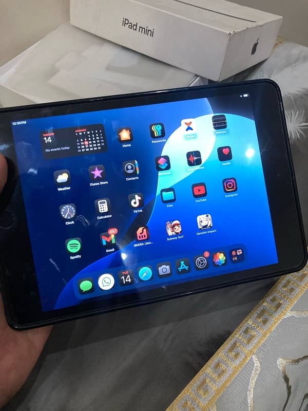 ipad mini 5 with box 3