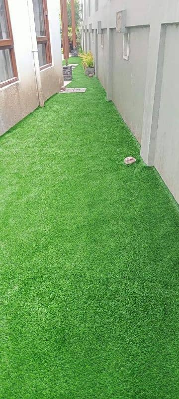 Artificial Grass 1