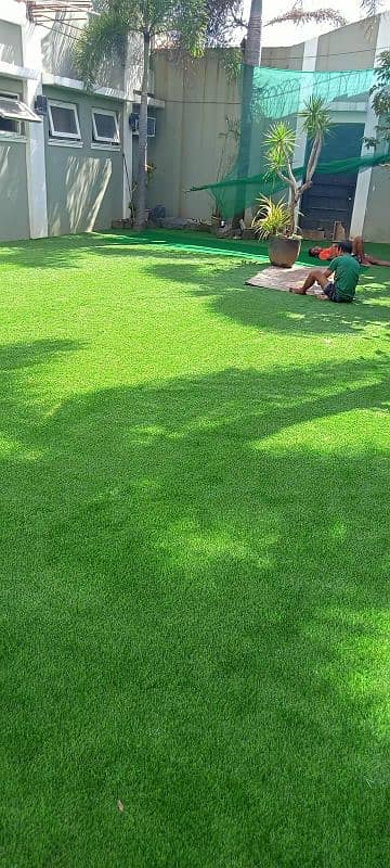 Artificial Grass 4