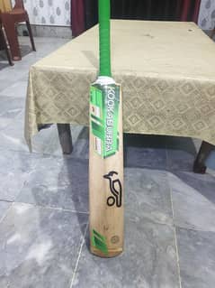 MB malik H pro hafeez proffeser edition but sticker kookaburra