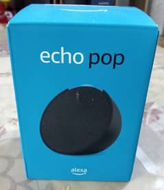 Echo