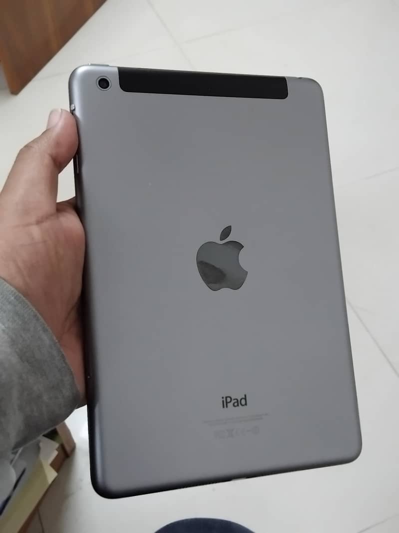 iPad Mini 2 0