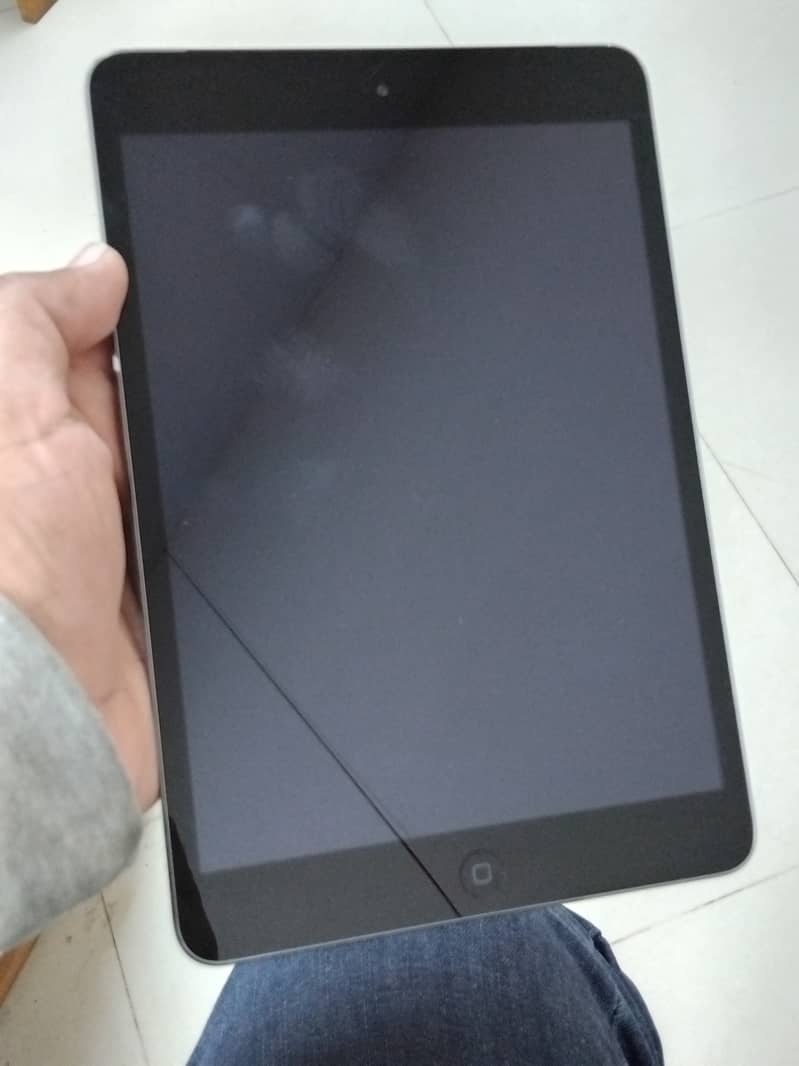 iPad Mini 2 1