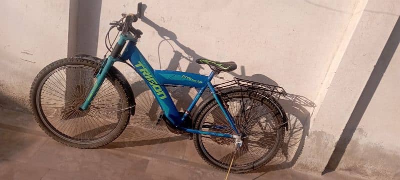 Tarigon Bicycle 1