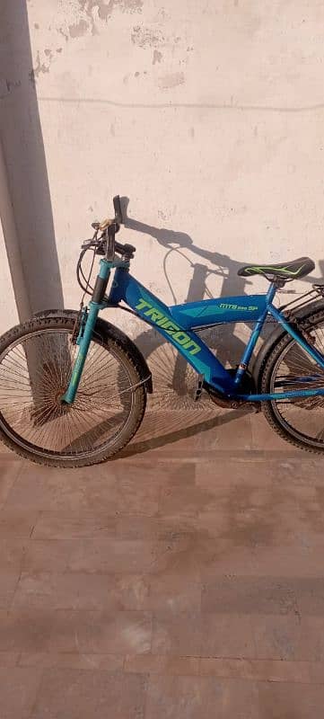 Tarigon Bicycle 6