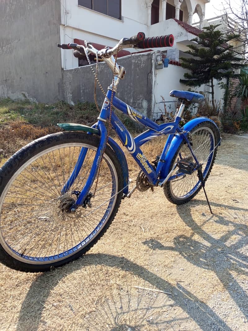 Phoenix Gears Bicycle for Sale 1