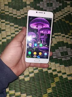 c7 pro sumsong 4gb 64 jb only set painal change orgnal shaid wala h