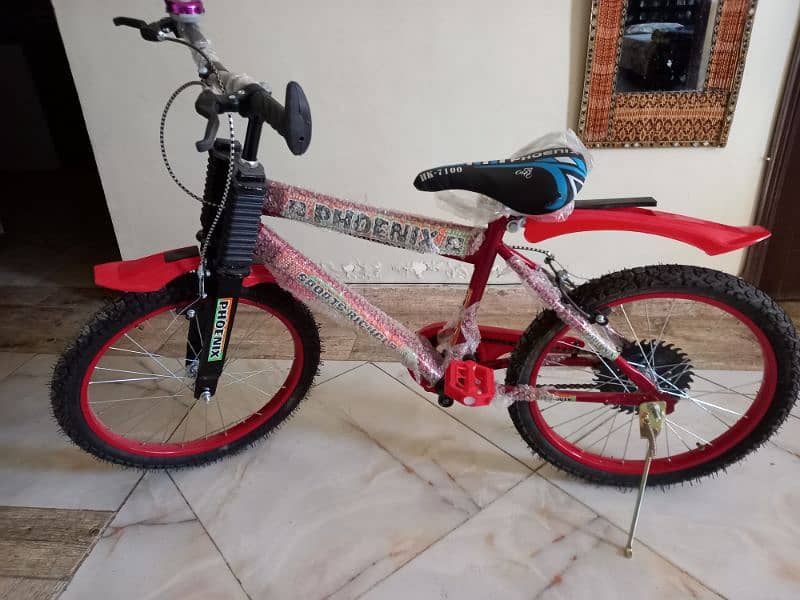 Brand new bicycle for boys and girls 0