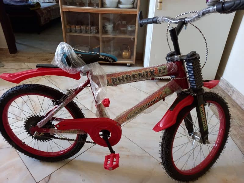 Brand new bicycle for boys and girls 2