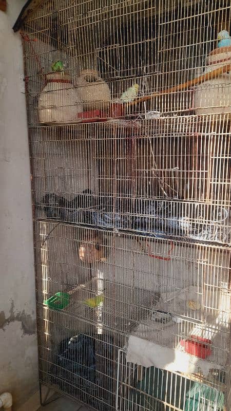 large size cage 5