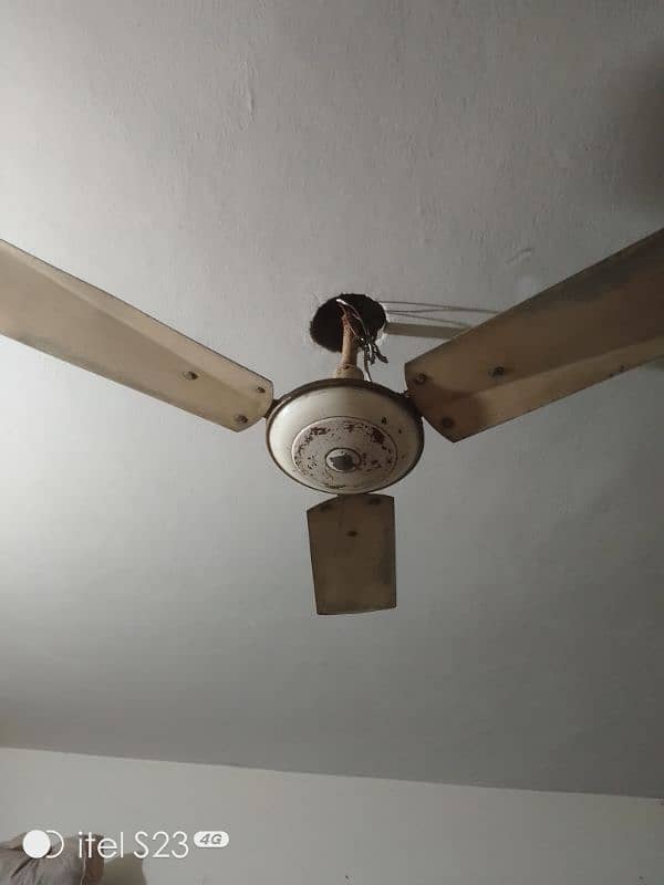 Pure copper fan 1