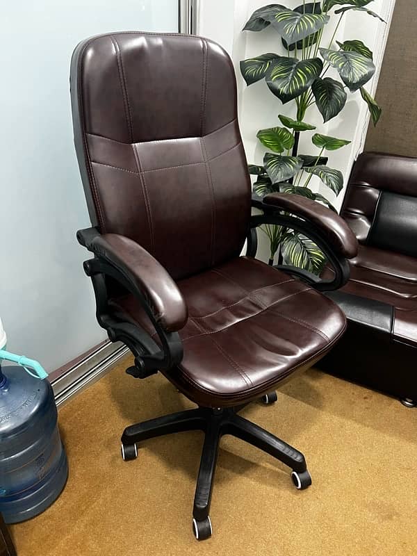 Executive Chair - Office Use 1