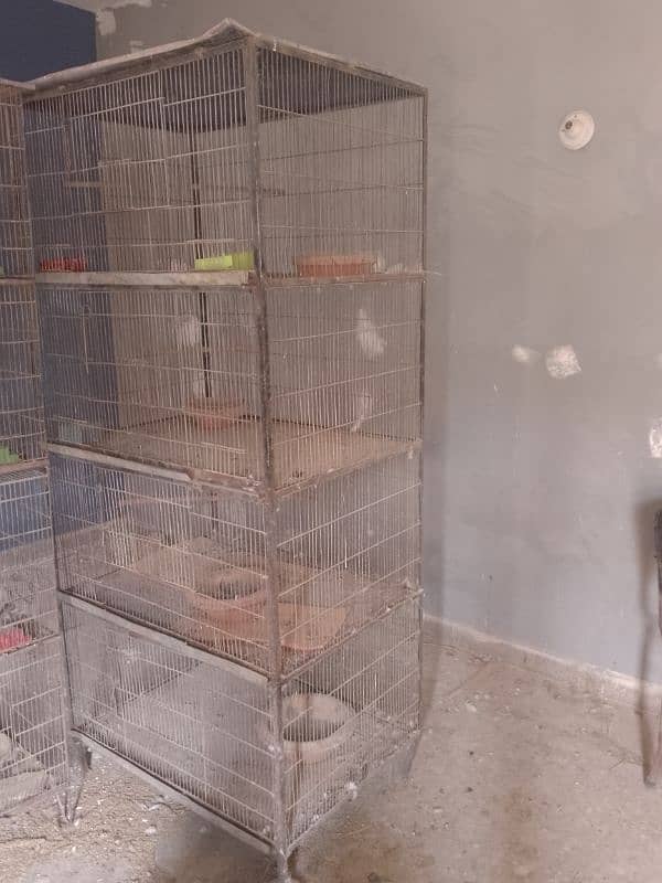 cages and pigeon for sale 3