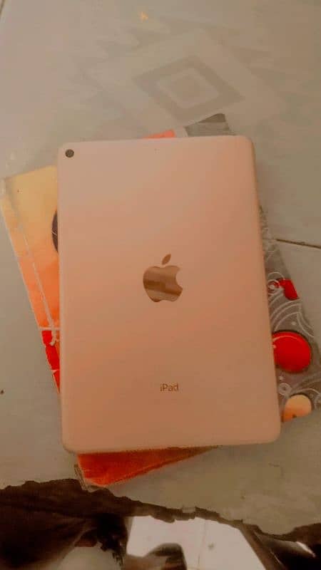 ipad mini 5 1