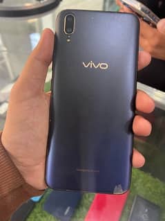 Vivo