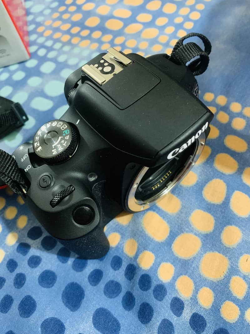 Canon EOS 2000d 2