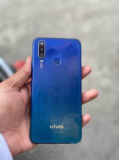 vivo