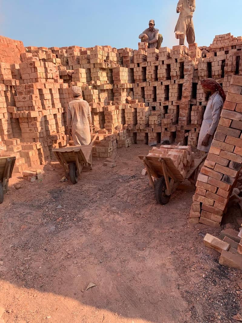 Pakistan No. 01 Quality Bricks 0