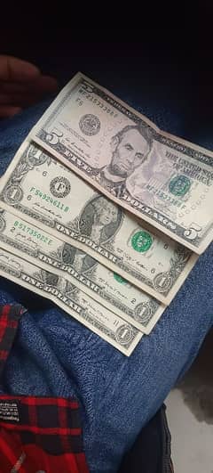 dollars bills