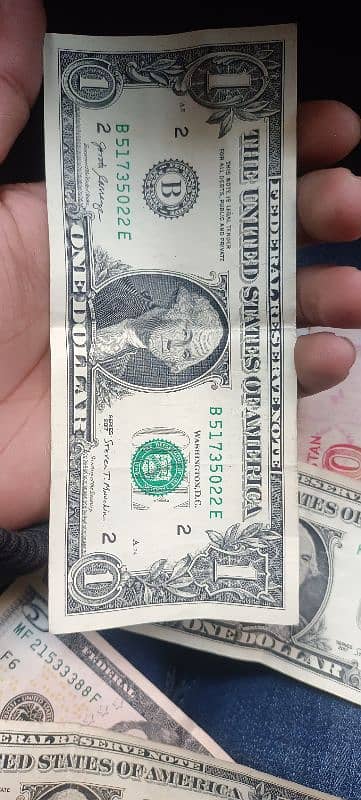 dollars bills 3