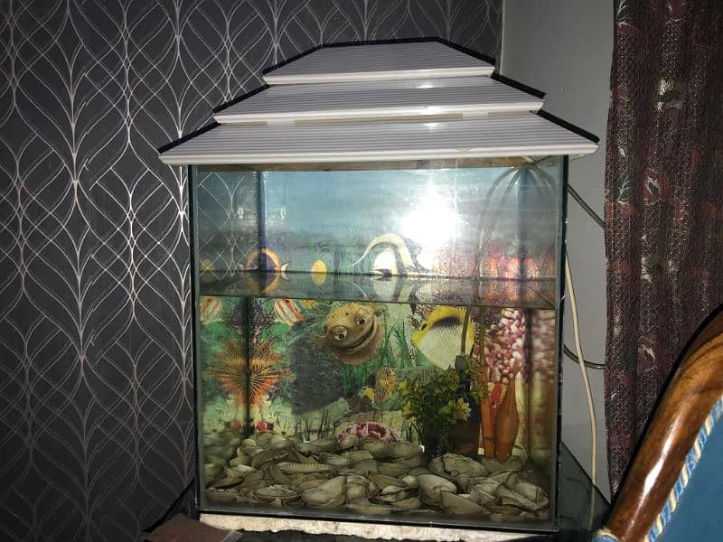 fish tank 0