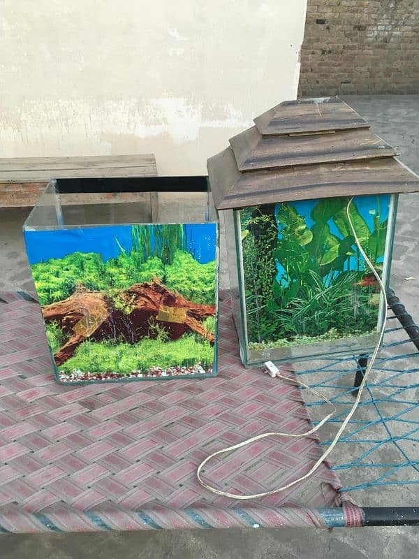 Aquarium For sale 0