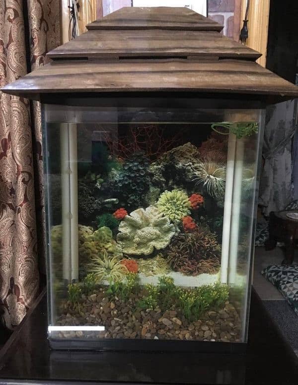 Aquarium For sale 2