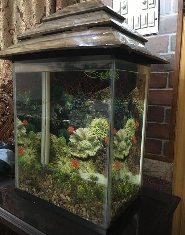 Aquarium For sale 3