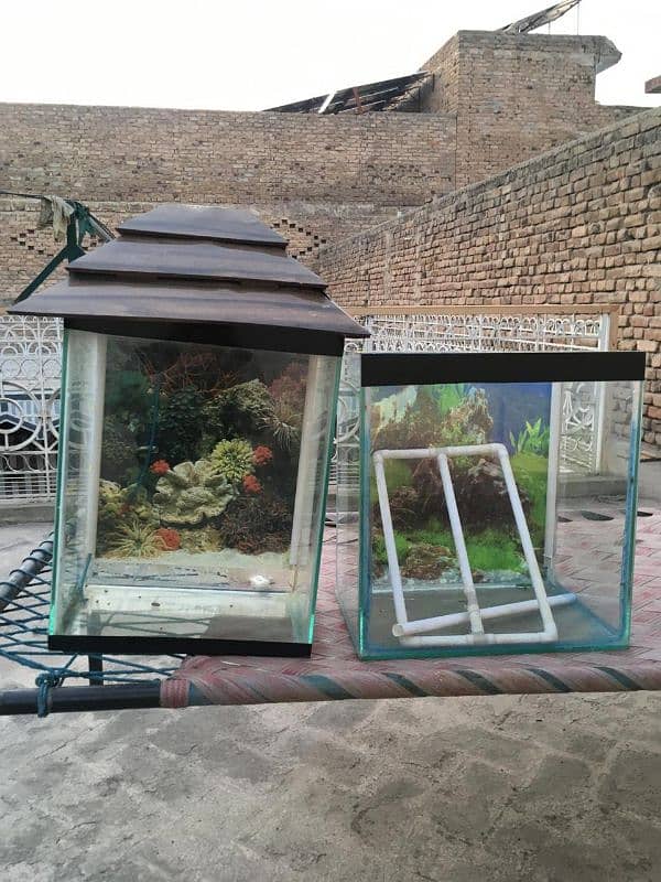 Aquarium For sale 4