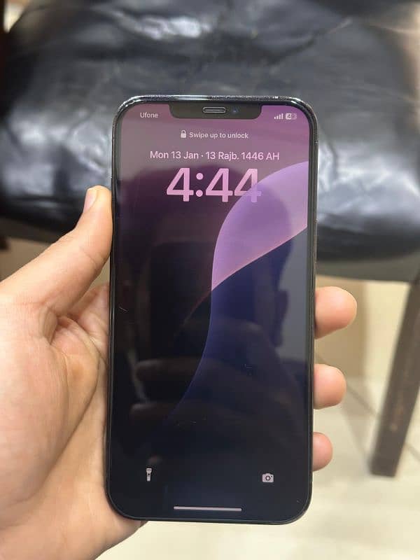 i phone 12 pro max lush phone 11