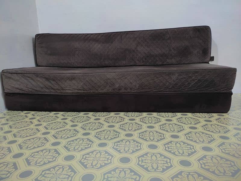 New velvet Sofa come bad with 2 pillows full size 2