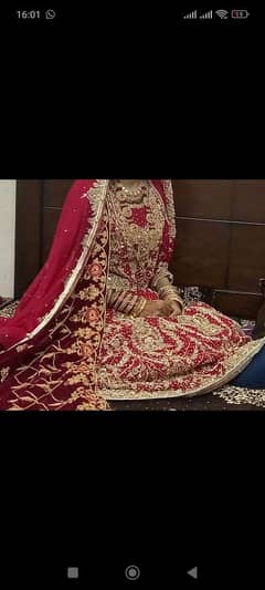 bridal red lehnga