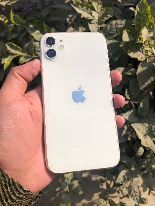 iPhone 11 0