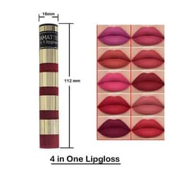 4 in 1 valvet glossy Lip Gloss