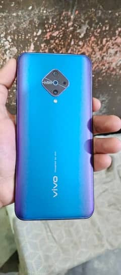 vivo