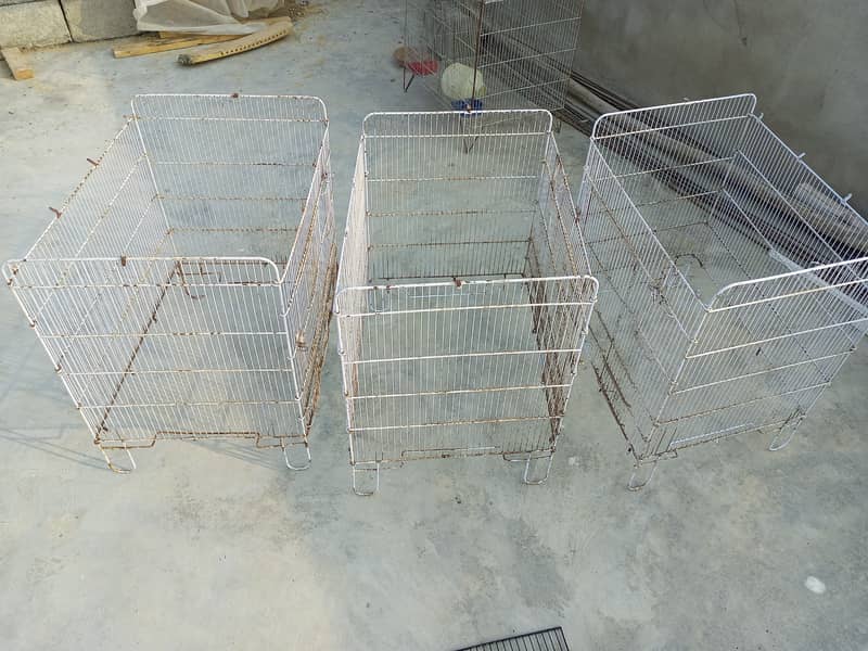 Parrot cage 3