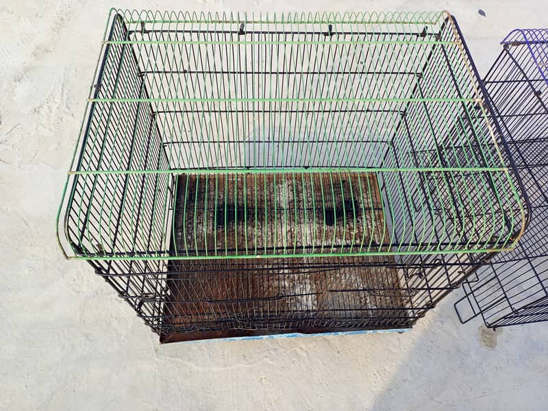 Parrot cage 6